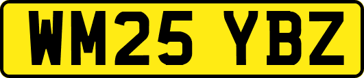 WM25YBZ