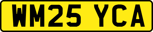WM25YCA