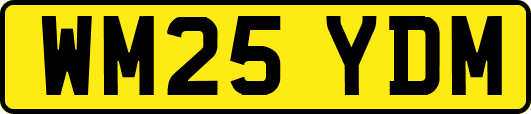 WM25YDM