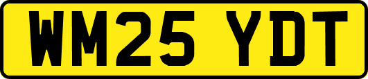 WM25YDT