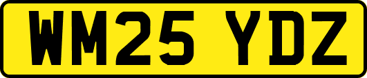 WM25YDZ
