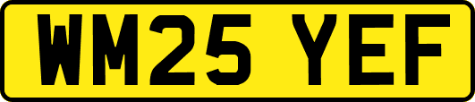 WM25YEF