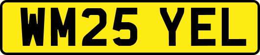 WM25YEL