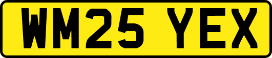 WM25YEX