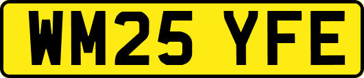 WM25YFE