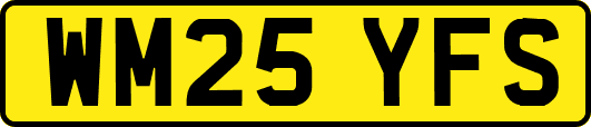 WM25YFS