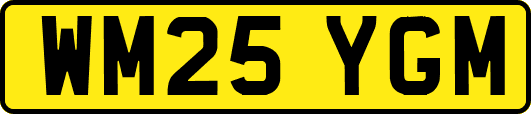 WM25YGM