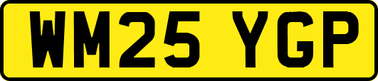 WM25YGP