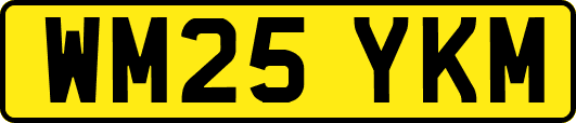 WM25YKM