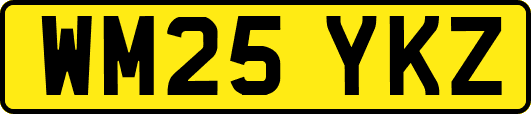 WM25YKZ