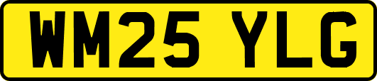 WM25YLG