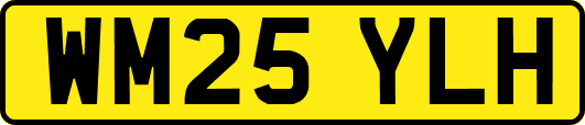 WM25YLH