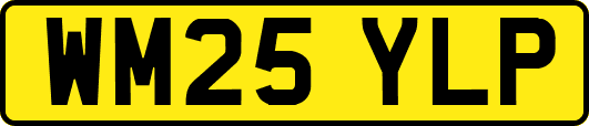 WM25YLP