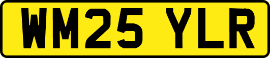 WM25YLR