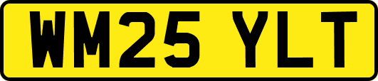 WM25YLT