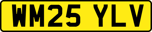 WM25YLV