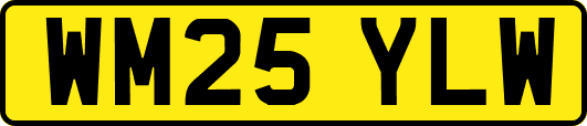 WM25YLW