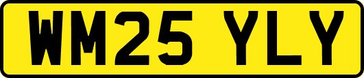WM25YLY