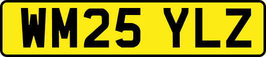 WM25YLZ