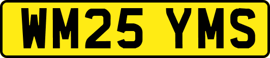 WM25YMS