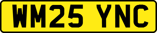 WM25YNC
