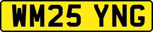 WM25YNG