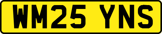 WM25YNS