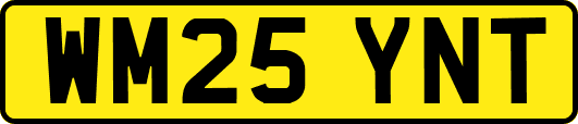 WM25YNT