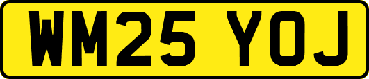 WM25YOJ