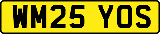 WM25YOS