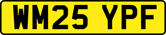 WM25YPF