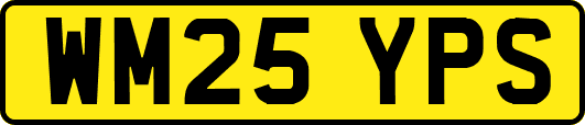 WM25YPS