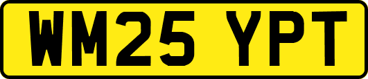 WM25YPT