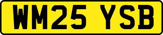 WM25YSB