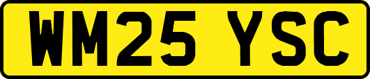 WM25YSC
