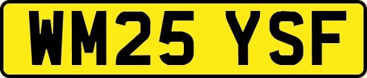 WM25YSF