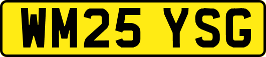WM25YSG