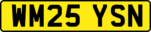 WM25YSN