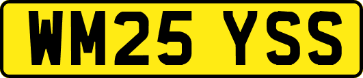 WM25YSS