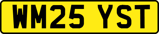WM25YST