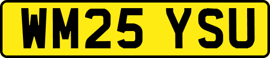 WM25YSU