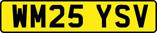 WM25YSV