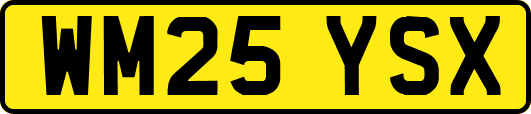 WM25YSX
