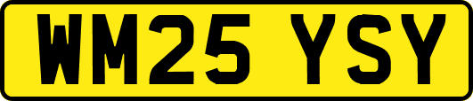 WM25YSY