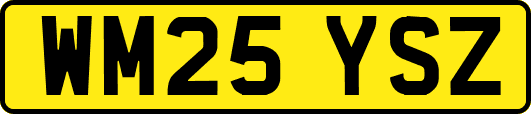 WM25YSZ