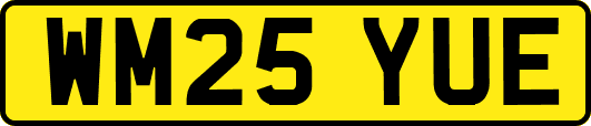 WM25YUE