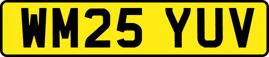 WM25YUV