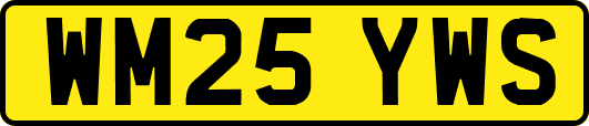 WM25YWS