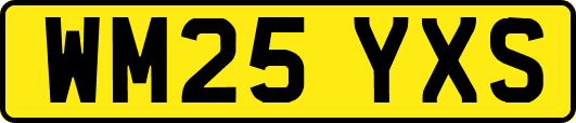 WM25YXS