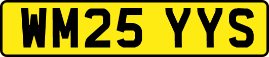 WM25YYS